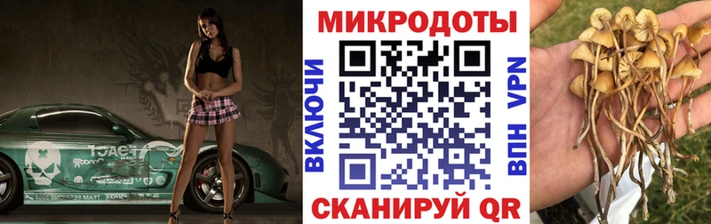 Купить закладки  Кыштым  Галлюциногенные грибы GOLDEN TEACHER 