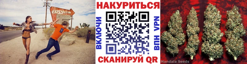 Купить Кыштым Марихуана сатива